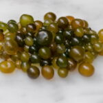 Nutrición con Ciencia «El Cushuro: El milagro subestimado de las lagunas altoandinas y su poder contra la anemia».